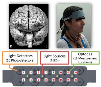 Unlocking the neural mechanisms of consumer loan evaluations: an fNIRS and ML-based consumer neuroscience study